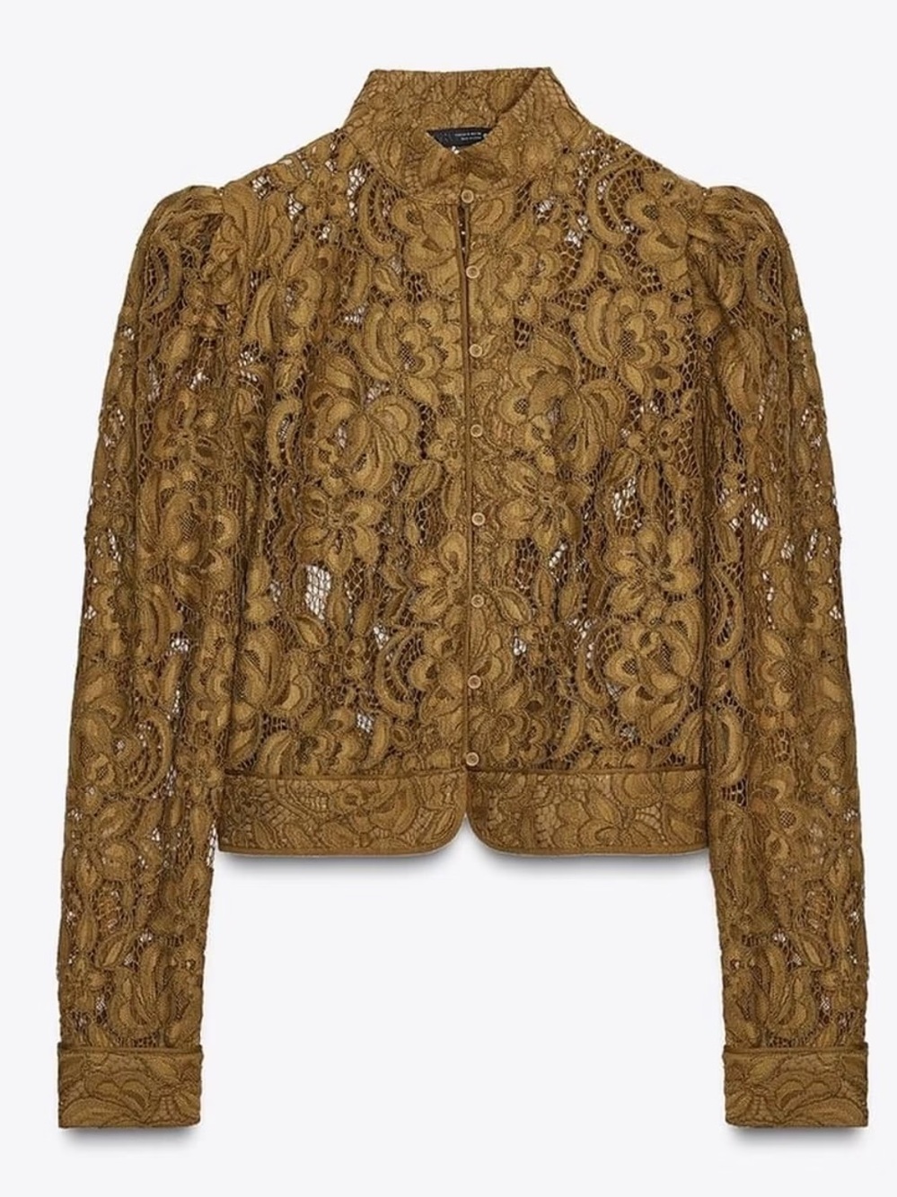 Zara Olive Floral Lace Cropped Jacket Button Front Size Small NWT
